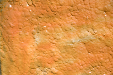 Orange Wall 1