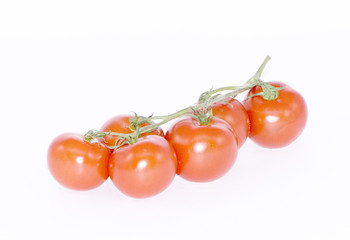 Tomatoes  Solanum Lycopersicum