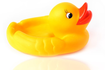 Yellow Duck