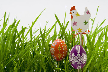 the easter eggs in grass