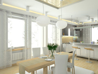 modern interior of kitchenin big house