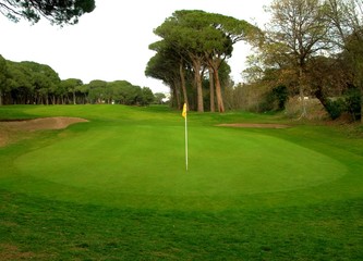 Golf green trou n°9