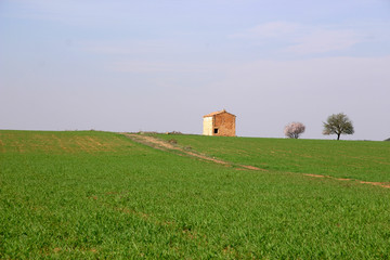 Obraz premium Campos de Castilla, España