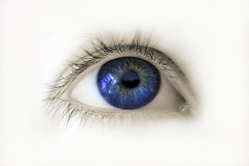 Fototapeta premium Auge 