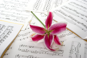 Musical Notes
