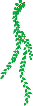 Birch leaf background. Vector illustration.