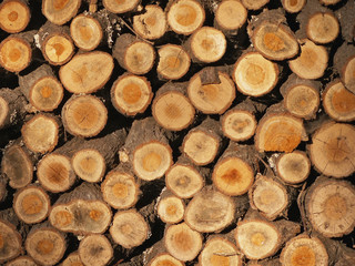 holzstapel