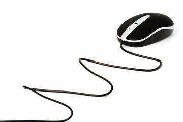 isolated mouse with wire