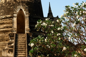 temple ayuthaya, thailande