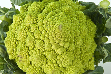 Cavolo broccolo
