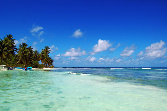 caraibi