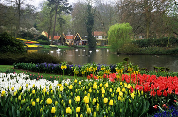 Keukenhof Gardens