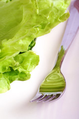 fresh iceberg salad with a fork