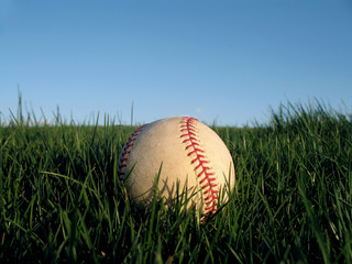 Baseball resting in field of grass