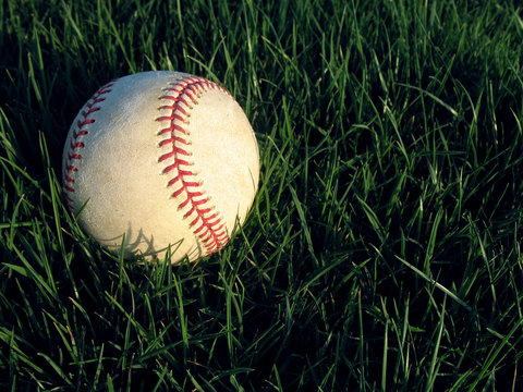 Baseball in field of grass