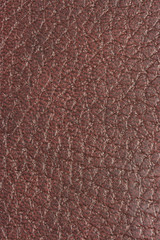 Fototapeta premium Leather texture
