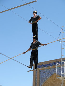 Acrobates