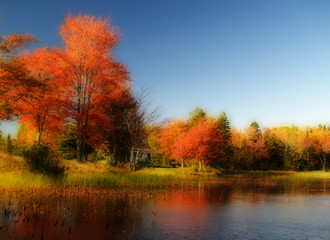 Autumn on a lake