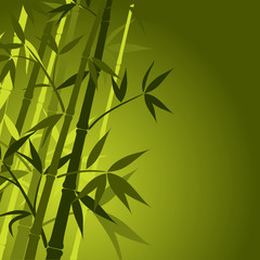 Bamboo background, vector illustration