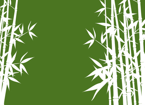 Bamboo background, vector illustration