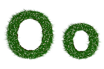 lettre O herbe prairie fleurie