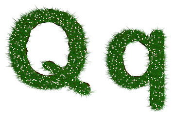 lettre Q herbe prairie fleurie