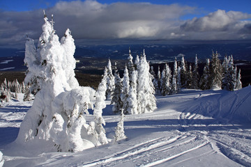 Ski slopes of Silver Star