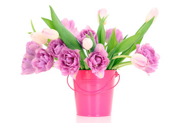 spring time!