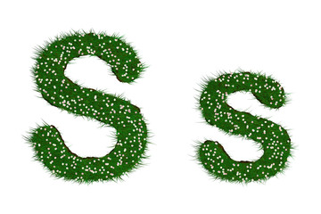 lettre S herbe prairie fleurie