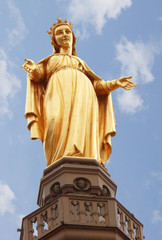 golden Mary