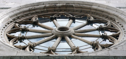 Rosette II