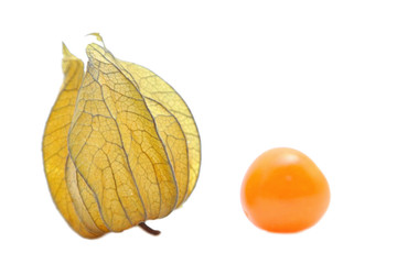 Fototapeta premium Physalis