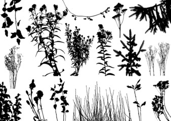 vector plants silhouettes