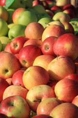 Apples