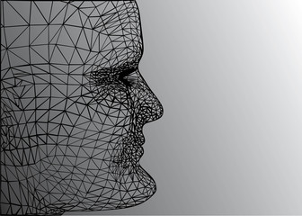 framework of man face