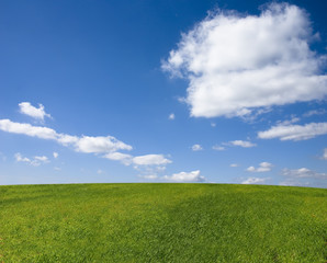 paesaggio natura