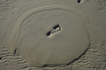 Fußspuren im Sand