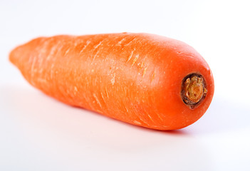 Carrot