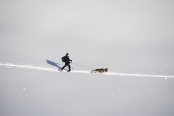 randonneur et chien en montagne