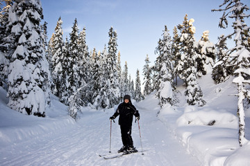 Fototapeta na wymiar Skiing in the winter