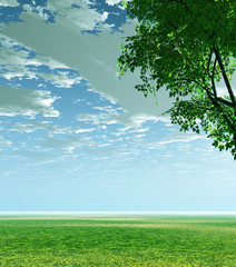 Fototapeta premium Spring scenery