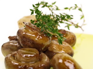 antipasti champignon und knoblauch