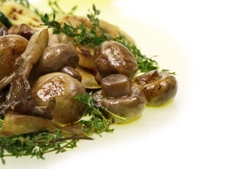 antipasti artischocken,champignon,zucchini