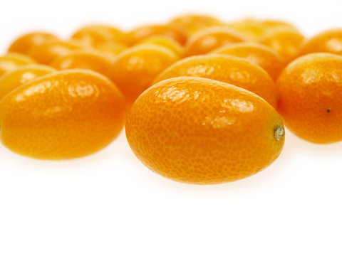 Fortunella Kumquats