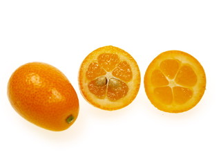 fortunella kumquats