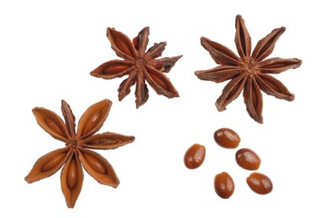 Star Anise