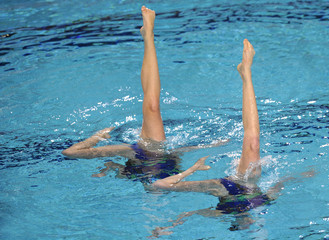 Natation