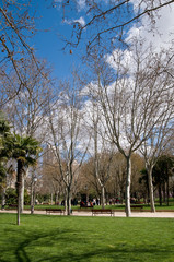 'Parque del Oeste' park in Madrid