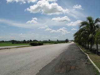 Cuban Road
