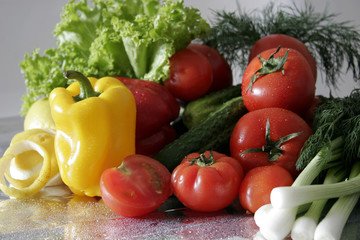 Fresh Vegetables, Fruits and other foodstuffs